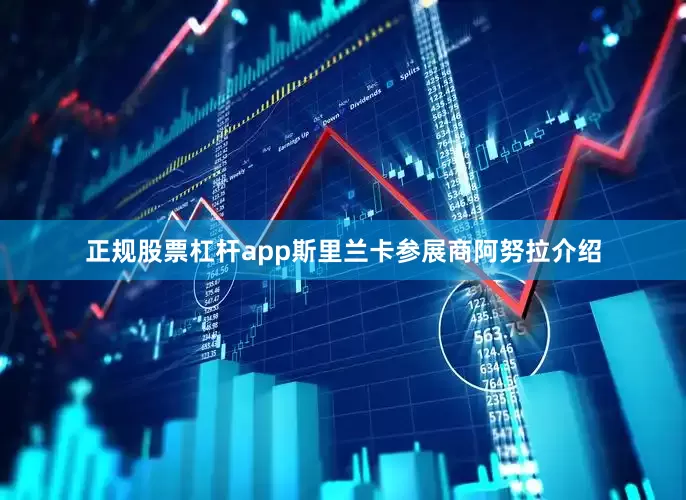 正规股票杠杆app斯里兰卡参展商阿努拉介绍