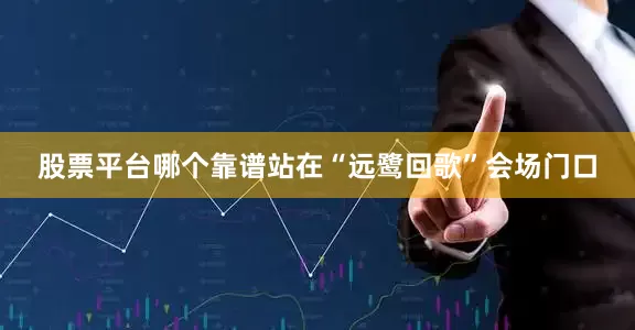 股票平台哪个靠谱站在“远鹭回歌”会场门口